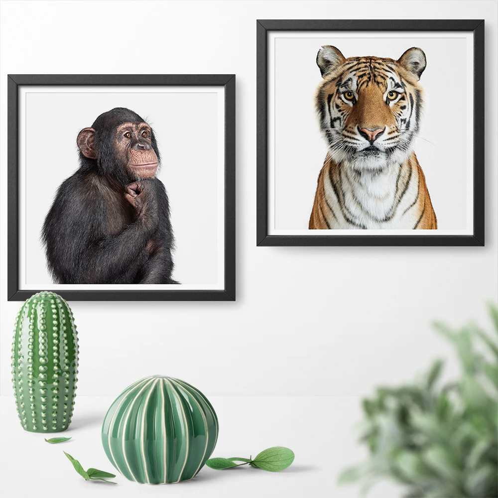 Minimalistic Bengal Tiger and Thinking Chimpanzee Canvas Art Print Poster Sticker Wall Painting Home Deocr No Frame | Дом и сад