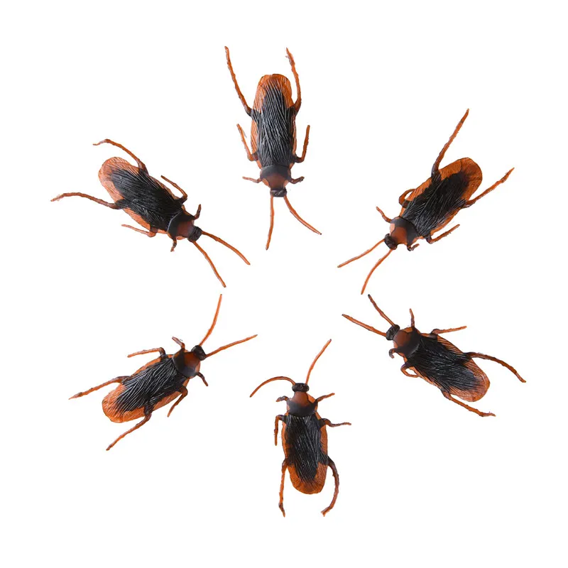 9275601238_1441114886