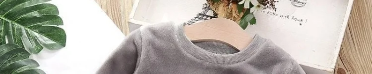 Autumn Winter Children's Clothing Suits Baby Girl Clothes Baby Boy Clothes Plush Long-sleeved Top and Pants Boys Clothes Autumn Winter Children's Clothing Suits Baby Girl Clothes Baby Boy Clothes Plush Long-sleeved Top and Pants Boys Clothes