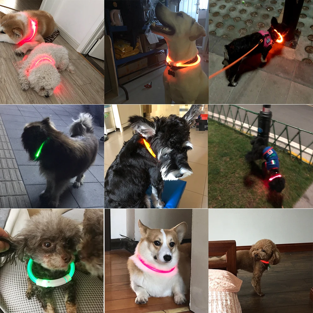 USB ошейник для собак перезаряжаемый светодиодный светящийся ночной ошейник для собак ошейник для щенков с батареей продукт для домашних животных