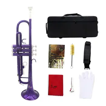 

New purple trumpet brass trumpet B flat in students group trumpet