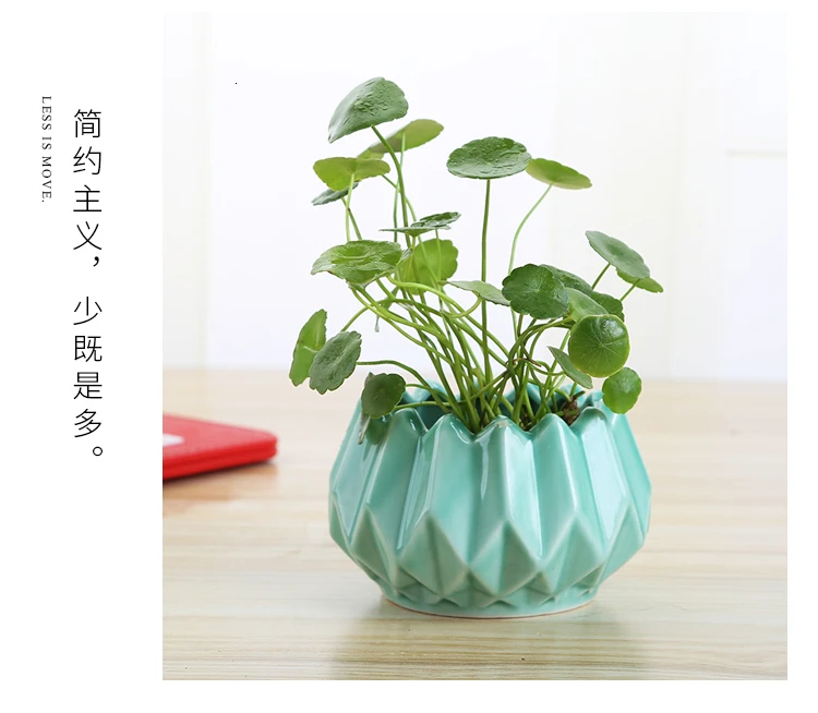 Flowerpot Originality Ceramics Hydroponics Vase A Living Room Television Cabinet Decorate Ornament Can Store Up Water Small
