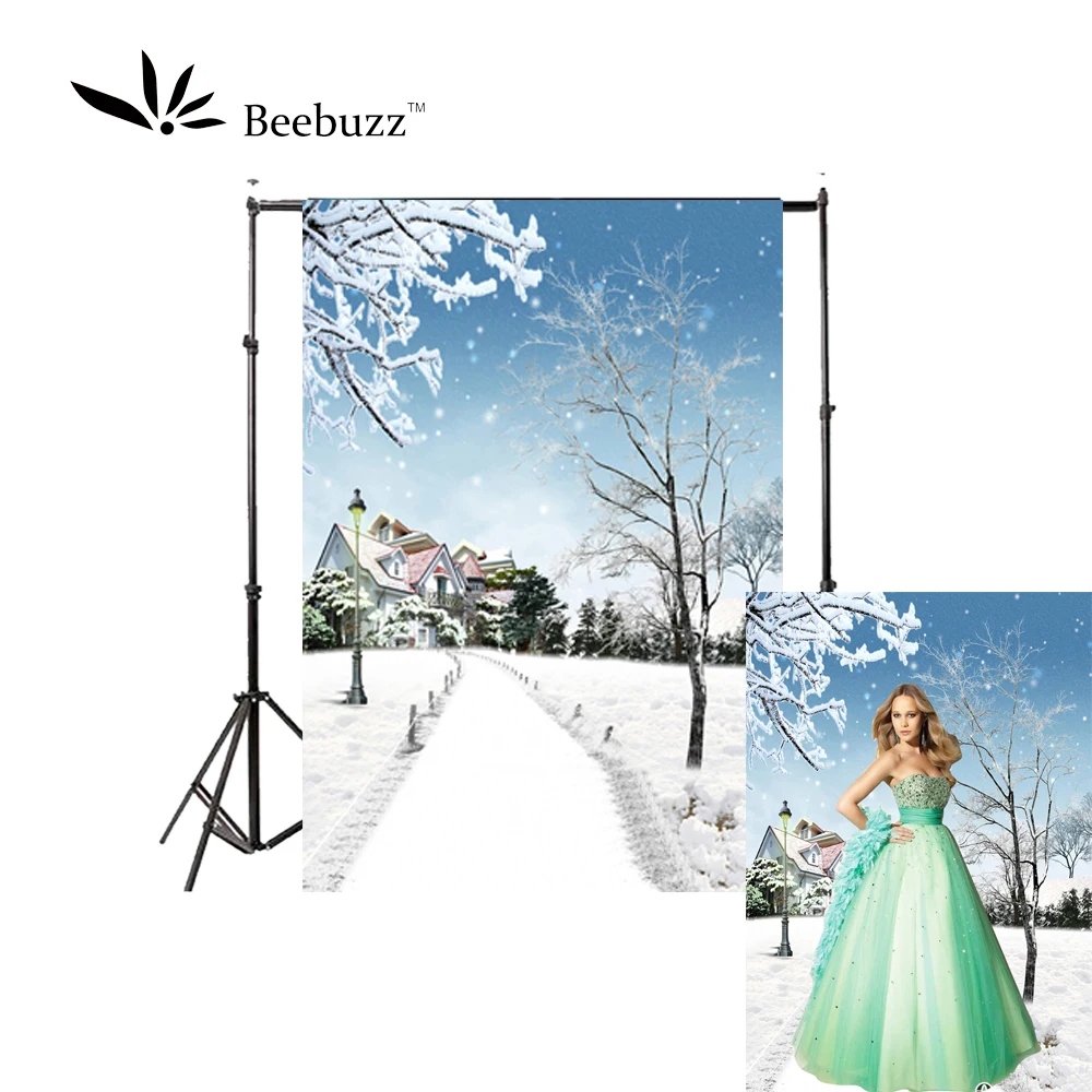 

Beebuzz photo backdrop beautiful snow scene in winter backgroung snowy paths and houses photophone