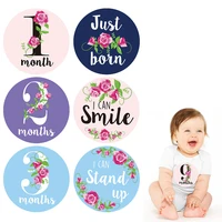 12PCS/Set Month Sticker Baby Photography Milestone Memorial Monthly Newborn Commemorative Card Number Photo Props