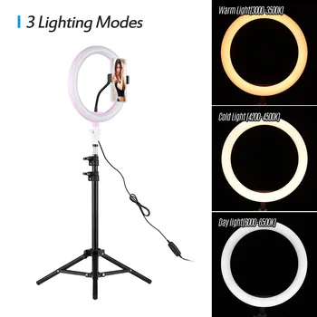 

Mini 10 Inch LED Ring Light with Light Stand Phone Holder Kit Vlog YouTube Video Live Makeup USB Remote Control Cool/Warm White