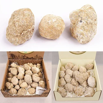 

Natural Agate Geode Slice Specimen Quartz Crystals Raw Gemstone Healing Reiki Stones Decoration Craft Collection