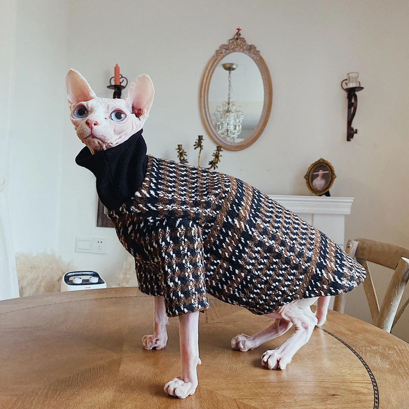 Hairless Cats In Sweaters