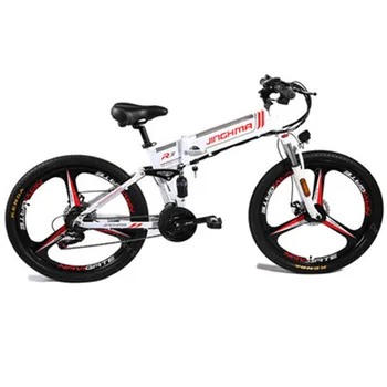 

Electric Mountain E Bike Bicycle 2 Wheels Electric Bicycles 800W 48V Folding Powerful Electric Bike For Adults
