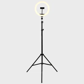 

Photography Youtube LED Selfie Cold Warm Lighting Dimmable LED Ring Light Phone Video Light Lamp With Tripod Ring Fill Light