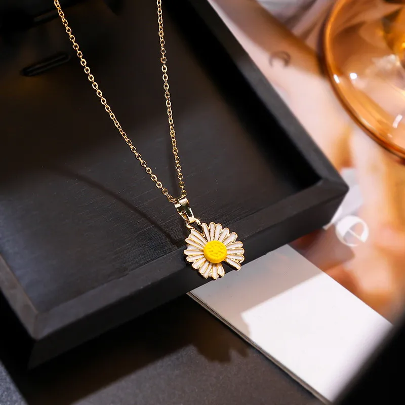 15166630894_1661689113