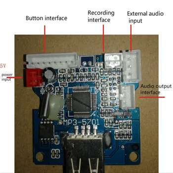 

USB Decoder MP3-5701 Audio Decoder Battery Audio Reader USB Decoder