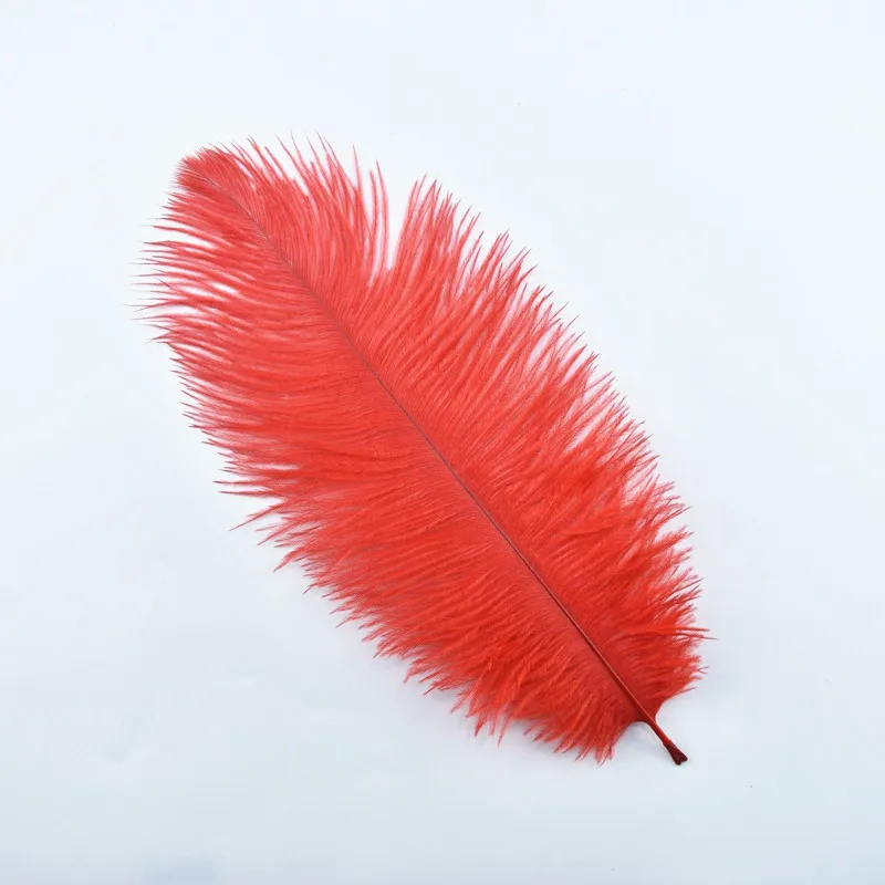 Ostrich Tip Dyed Wing Feathers  Ostrich Plumes for Sale Online