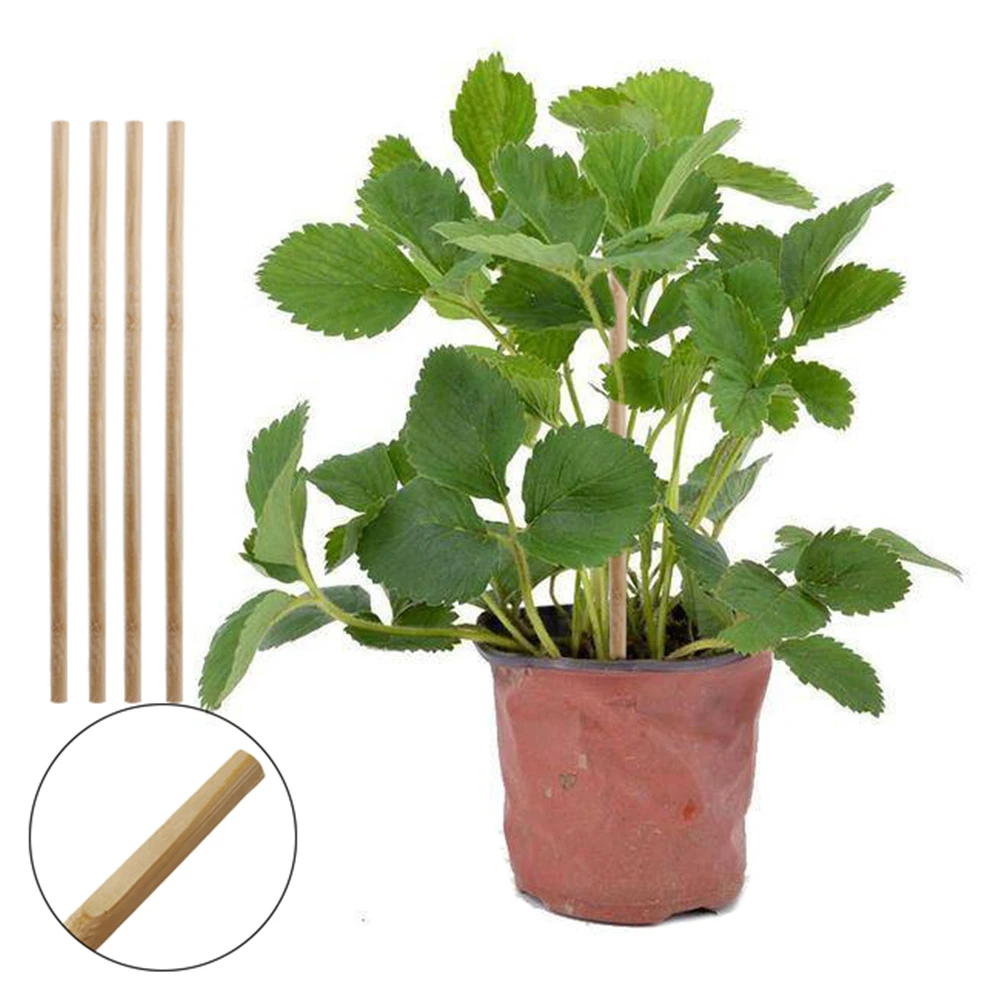 

30pcs Wooden Plant Grow Support Bamboo Plant Sticks for Flower Stick Cane stands agriculture garden bonsai tool