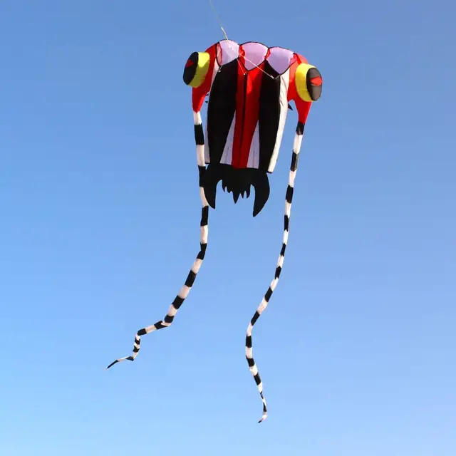 KITE-Large Easy Flyer Soft Kite for Kids-Colorful White Trilobite-It's Big! 30 Inches Wide with Two 130 Inches Long Tails 3