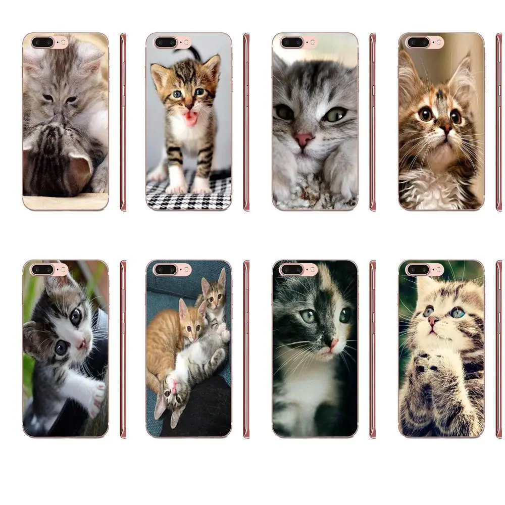 Теория Большого Взрыва Kitty Song для Huawei Honor 5C 5X 6A 6X 7 7A 7X 8 8A 8S 8X 9 10 30 Lite Pro Y6 II Y7 Y9 Prime 2019 |
