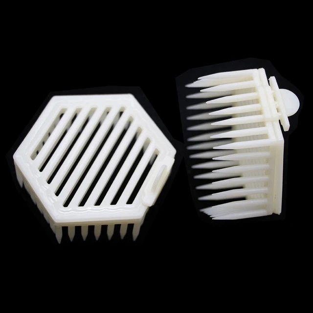 16 db Szűz Méh Ketrec Professzionális Intrudukciós Műanyag Tűcsap Típusú Queen Tenyésztő Apikultúra Szerszámok - Image 4