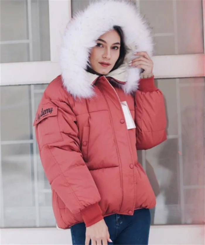 

2019 Spring New Style Fur Collar Cotton-padded Clothes AliExpress EBay