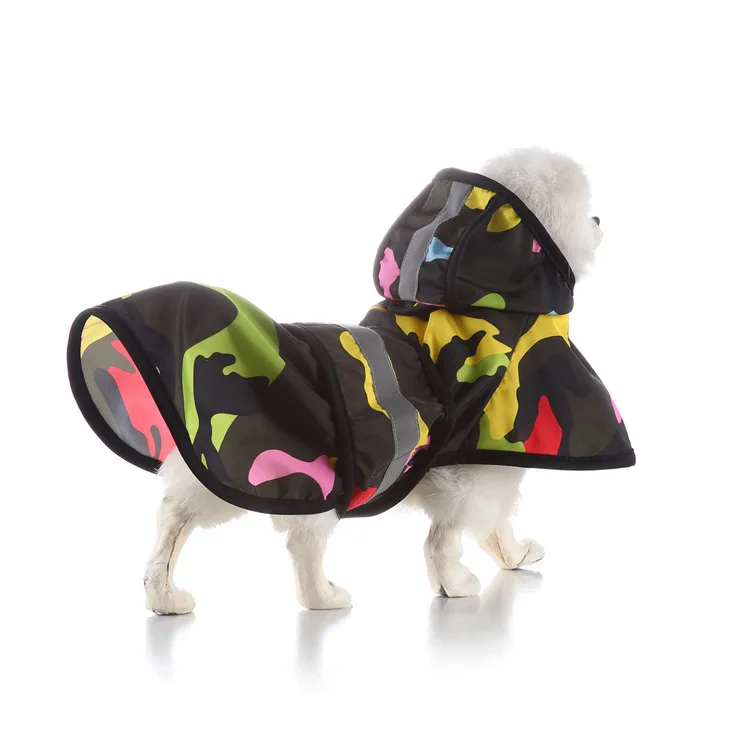 10754110293_1230136181