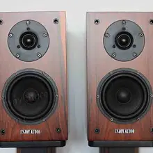 YH 5 5 дюймов Hi-End книжная полка динамик Vifa DX25 твитер+ DOUZI midrange bass YD142 DIY
