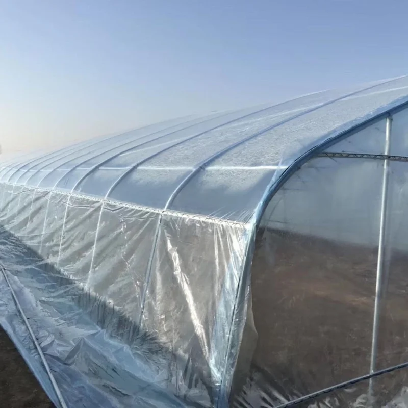 Greenhouse Plastic tube steel frame greenhouse structure gi steel pipe 8M*30M
