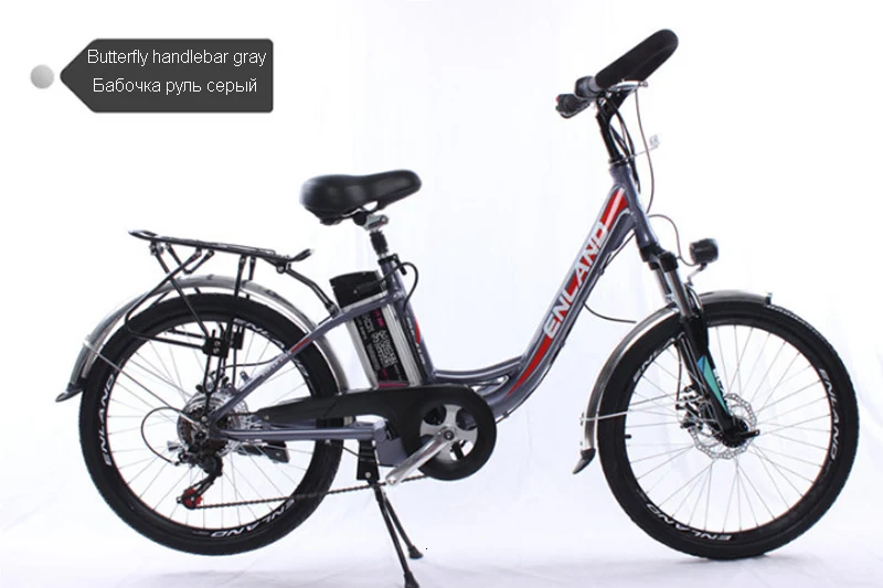 new 24 inch 250w 48v electric bike variable speed double disc brake aluminum alloy e bike Lithium battery electric bicycle ebike - Цвет: 12ahBHgray