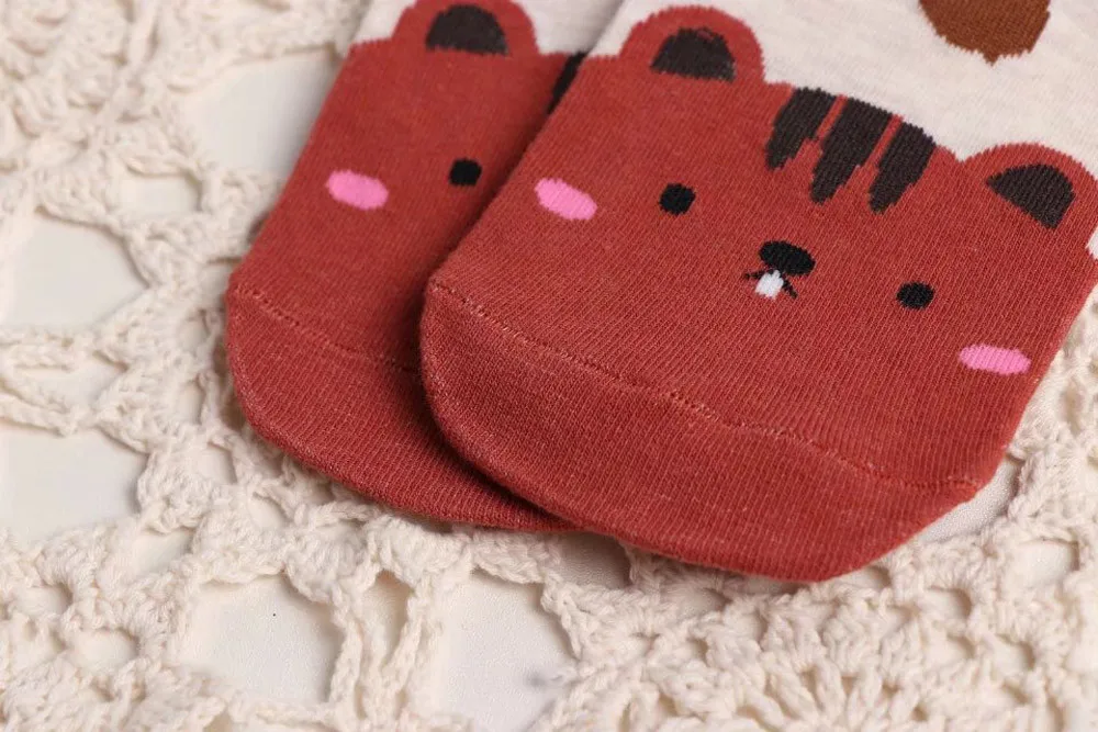 19 - LNP70904364_20170904041322557