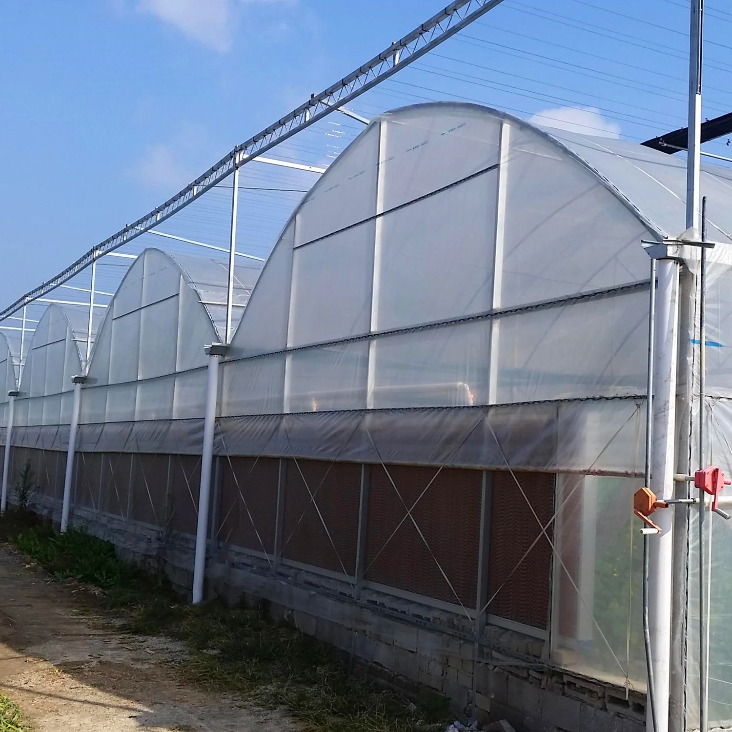 Рисунок 2 - 24 м * 32 м Коммерческая многопролетная