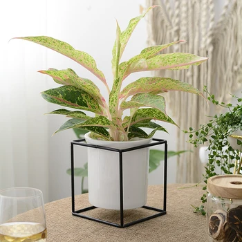 

Nordic Ceramic Flower Pot Succulents Flowerpot with Wire Frame Home Ornament For Drop Ship
