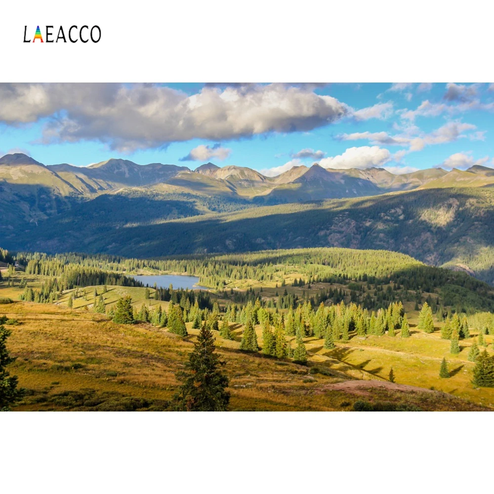 

Laeacco Cloudy Sky Mountains Forest Scenic Photography Backgrounds Vinyl Custom Camera Photographic Backdrops For Photo Studio
