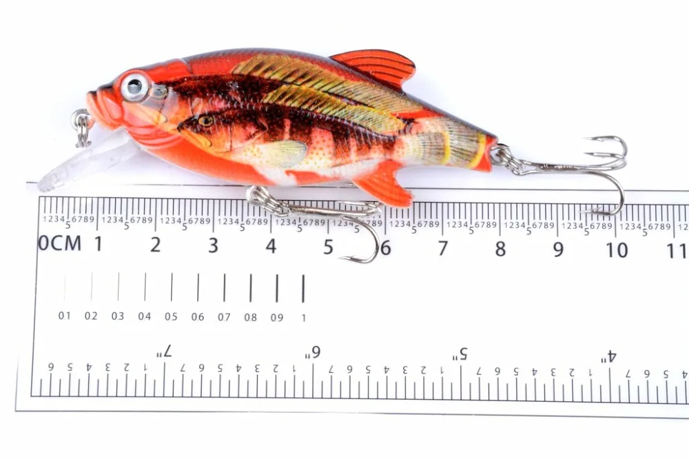 4558580031_2124736776