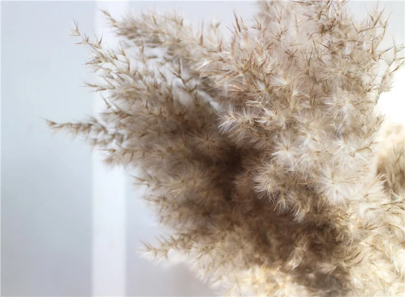 O1CN01hscKE624GlDmU2BeN_!!824017364