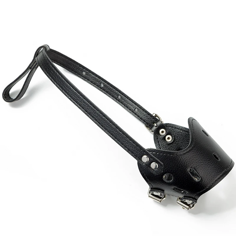 a5750a2e8bf67726fb96821a14edd43