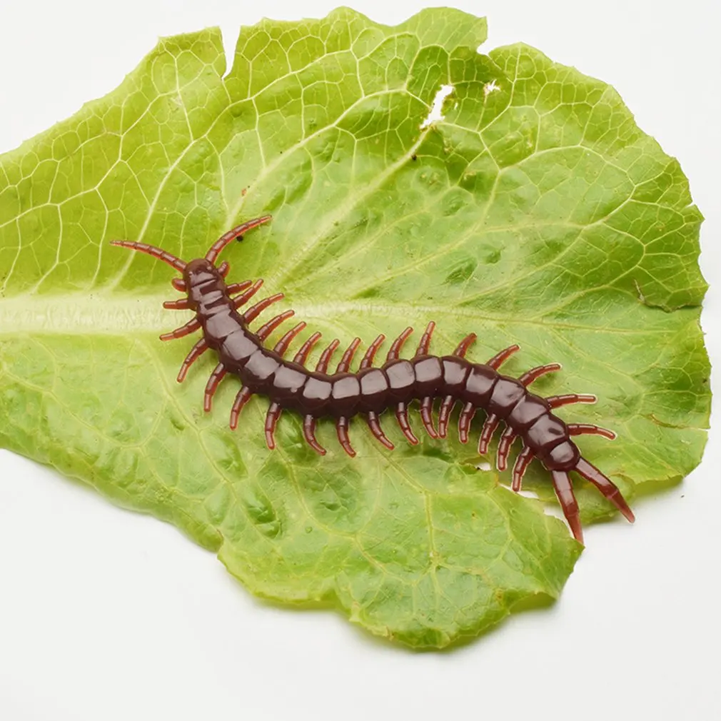 Simulation Fool'S Day Toy Fake Scorpion Gecko Flies Small Strong Whole Scorpion Fake Cockroach Scary