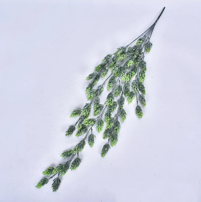 11258682897_1242088923(1)