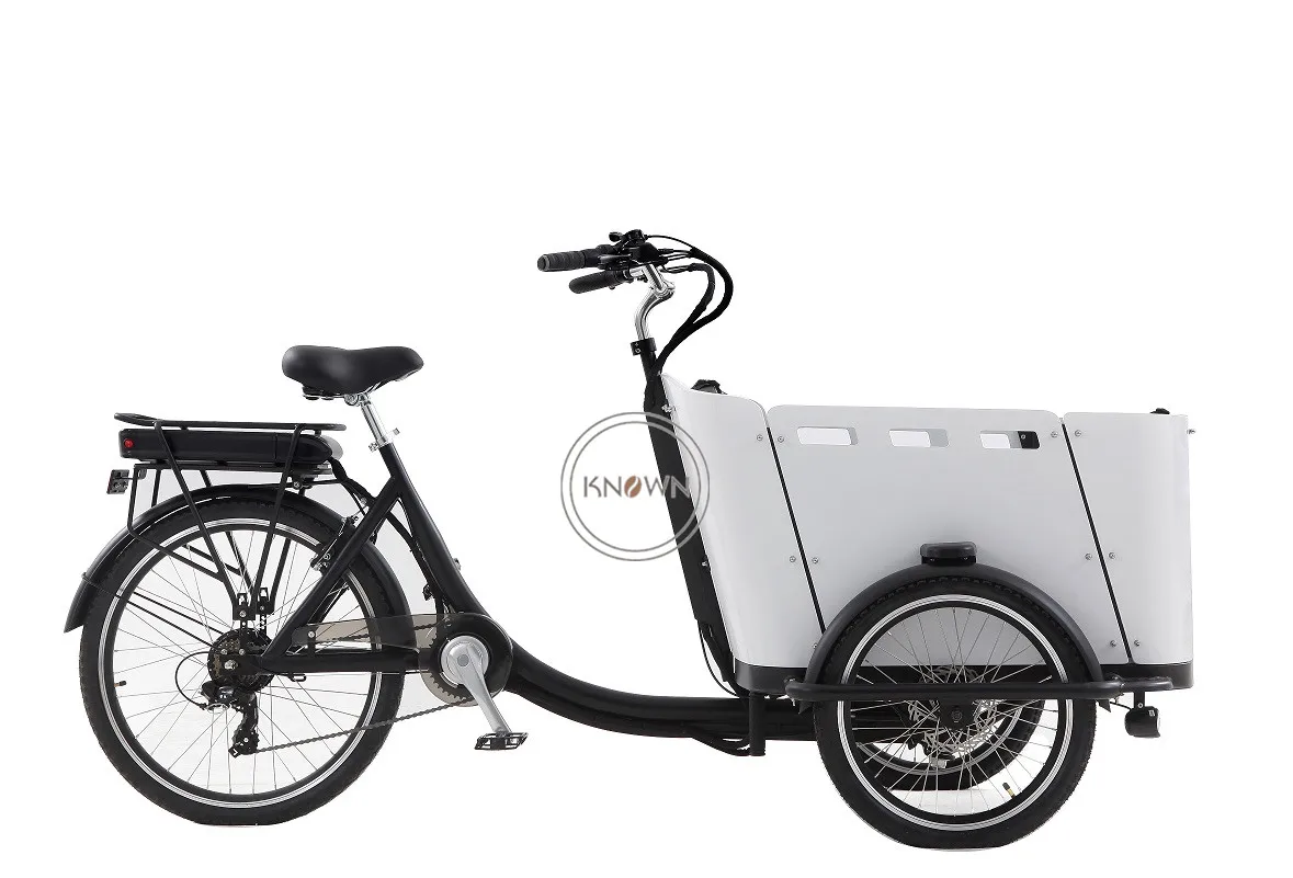 family cargo trike bike frame 