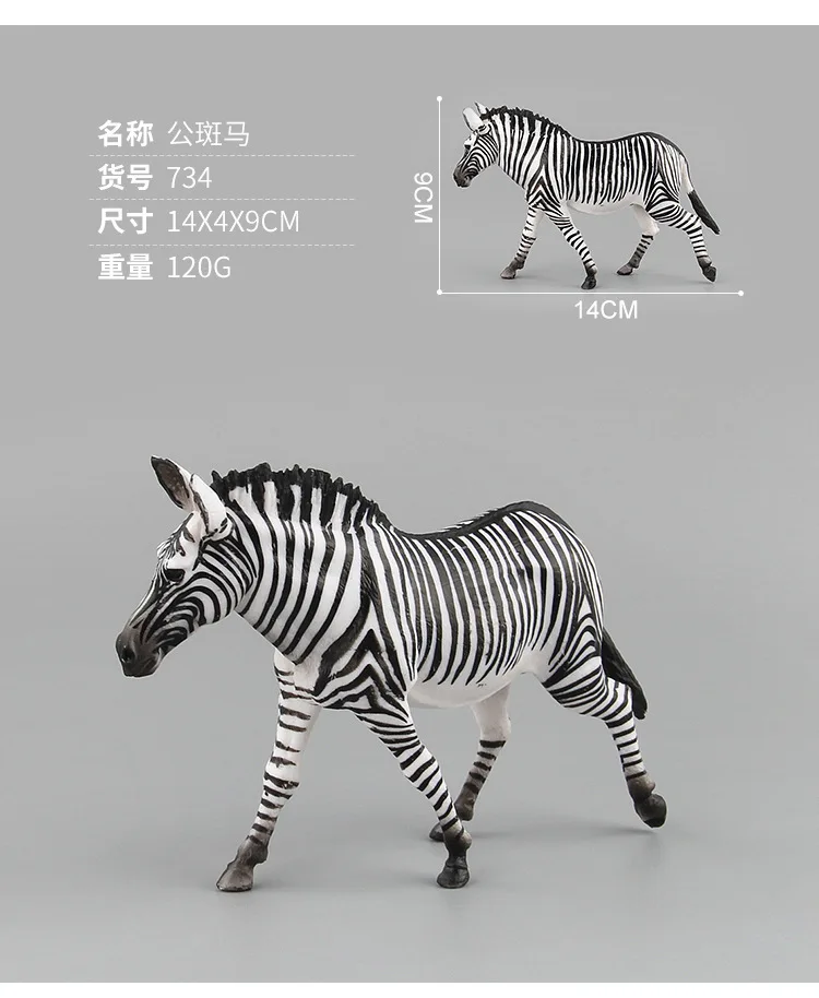 9141064849_920392923