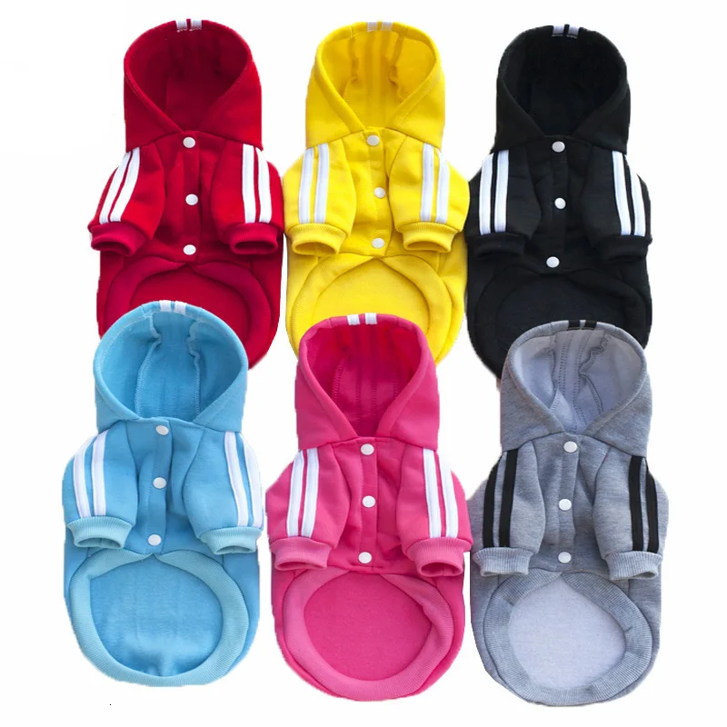 3884144802_277183843