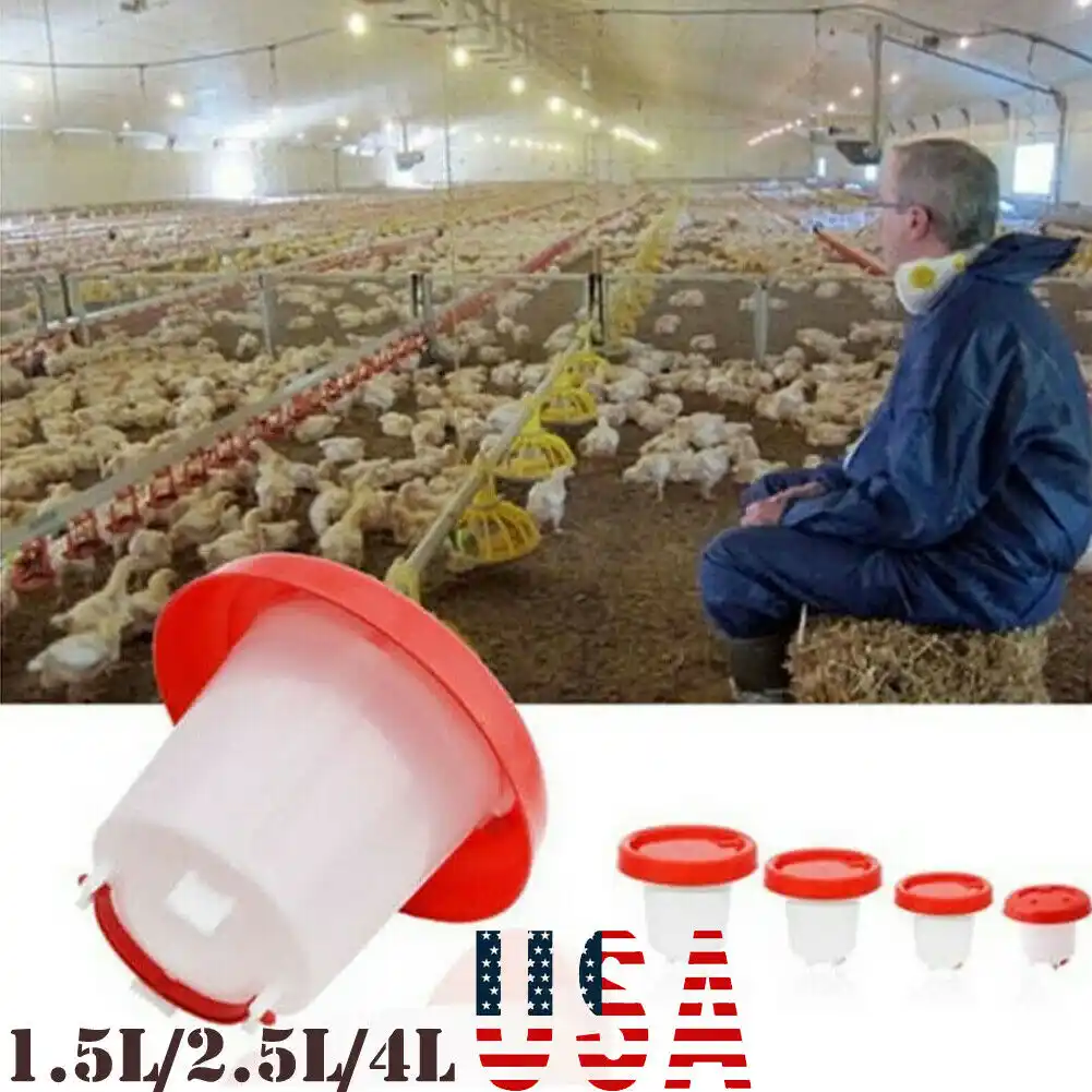 Robust Plastic Chicken Quail Poultry Chick Hen Drinker Food Feeder