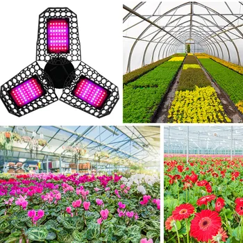 

144 LEDs Backyard Three Leaf Seeding Waterproof Full Plant Grow Light