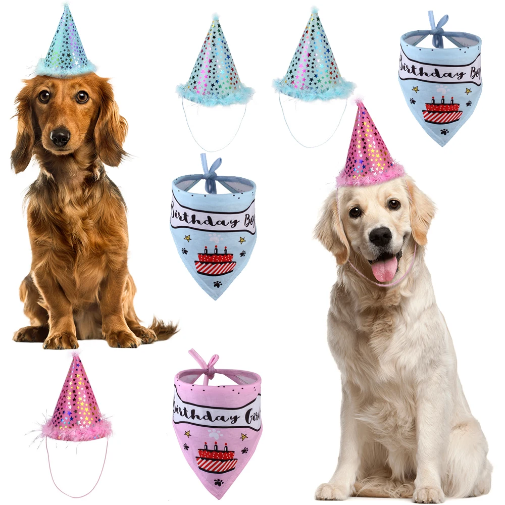 2 шт./компл. домашних животных на день рождения шляпа Корона со слюнявчиком кошек