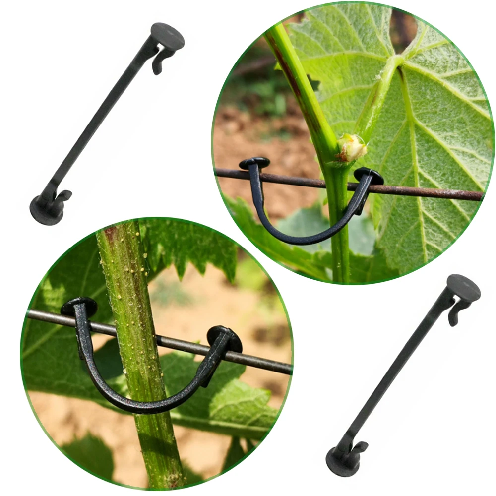 

2000Pcs Vines Fasteners Vegetable Strapping Clips Garden Plants Buckle Grape Tool Plant Vegetable Grafting Clips Agricultural