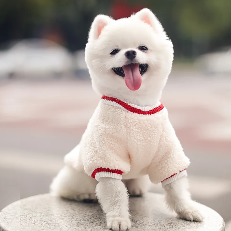 Одежда для собак Kimpets маленькие собаки осень и зима милые плюшевые свитера с