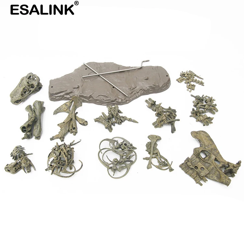 ESALINK большой динозавр ископаемый Череп модели животных игрушки тираннозавр рекс