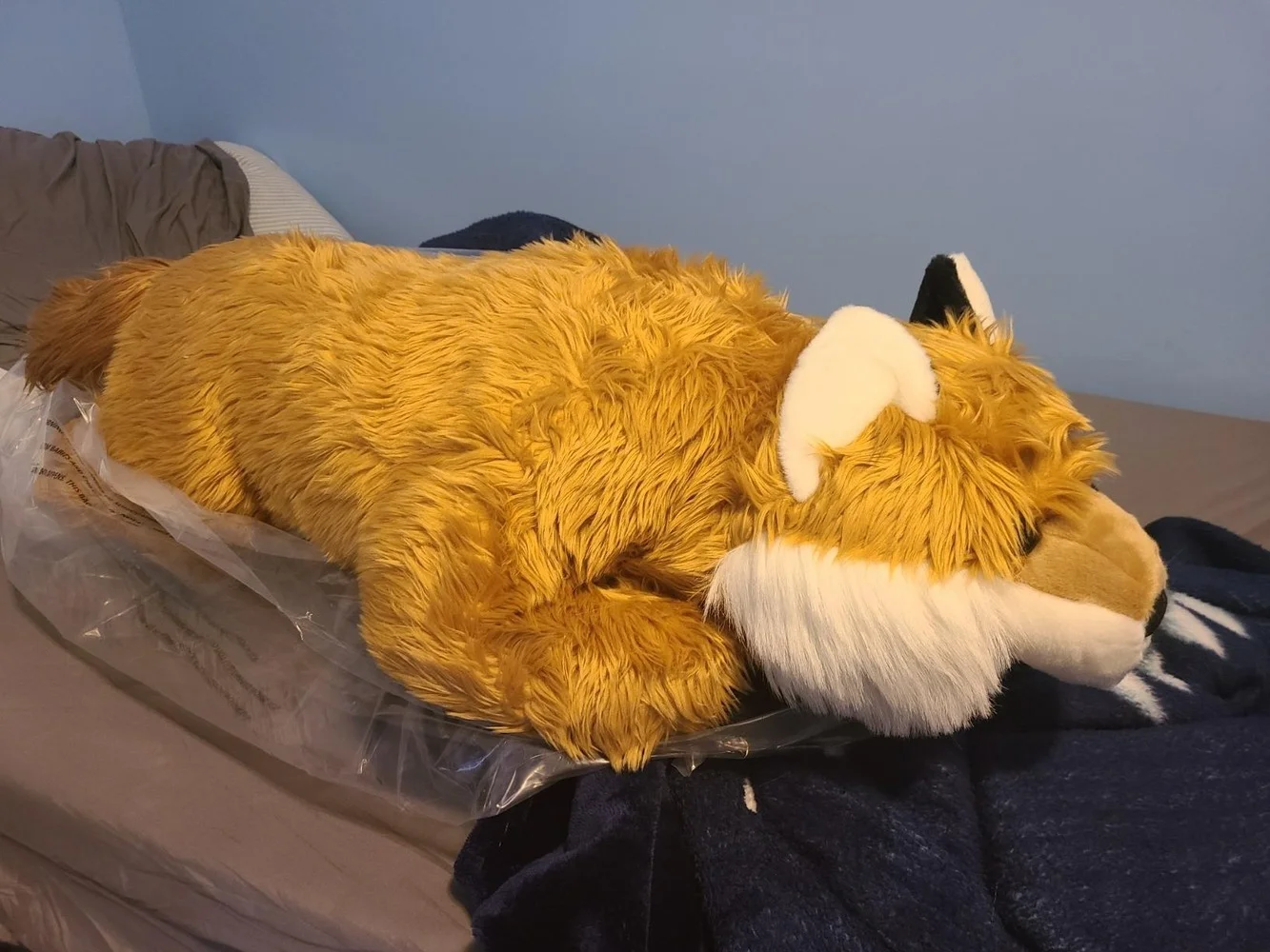 Fox Body Pillow Wind And Weather sites.unimi.it