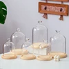 2sets/pack 9*11cm Ball Top Glass Dome Vase Home Deocration Flat Log Base Transparent Cover Wedding Live Prop Birthday Gift 4
