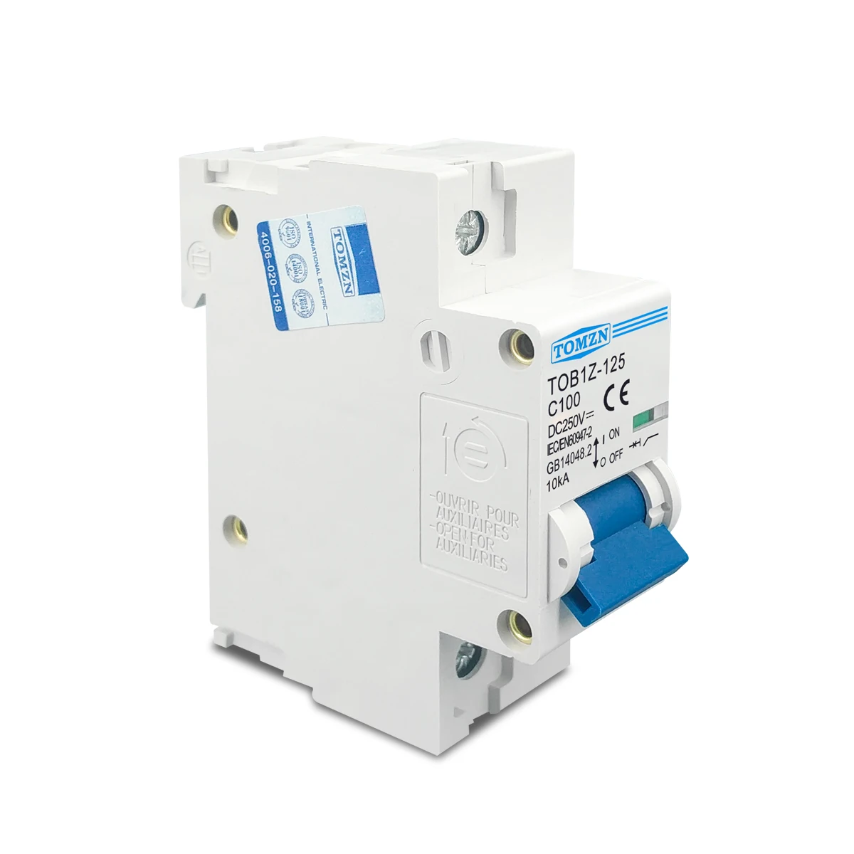 1PCS TOMZN 1P DC MCB 250V 80A 100A 125A 회로 차단기 PV 시스템 C 곡선 배터리 메인 스위치