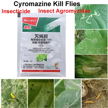 

Cyromazine Efficient Systemic Insecticide Agricultural Medicine Pesticide Kill Pest Fly Flies Protection Garden Bonsai Plant