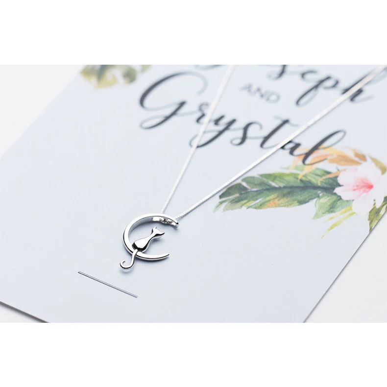 Modian ������ �Ϳ��� ���� ������ �� ���� ������ ����� ���Ʈ, ������ ���� ��¥  �м� �־� ����