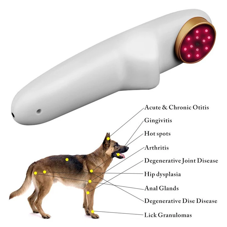 750-1veterinary use for Animals Dogs Horses Cats Animals pets wound healing pets clinic Pain Relieve cold laser therapy instrument
