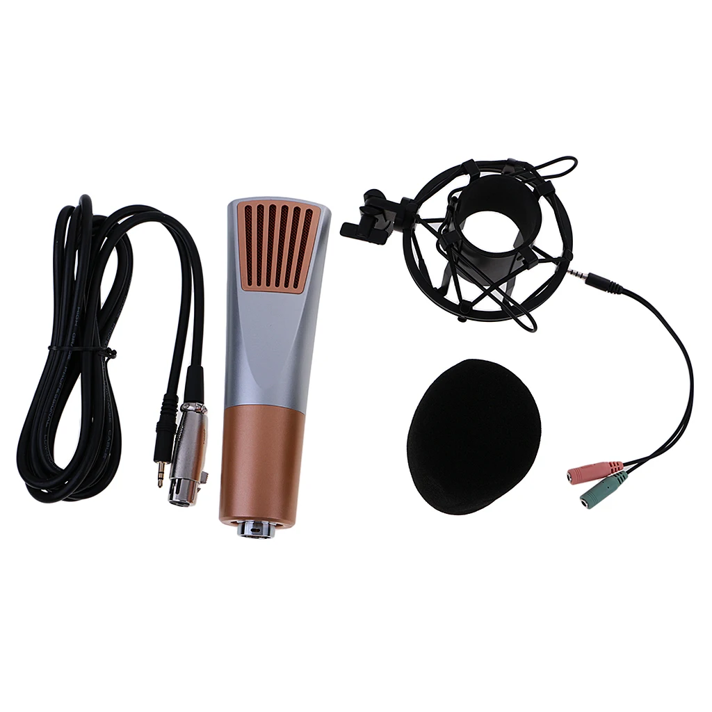 

Studio Broadcasting & Recording Microphone with Shock Mount for PC Laptop Skype Chatting Gaming Online